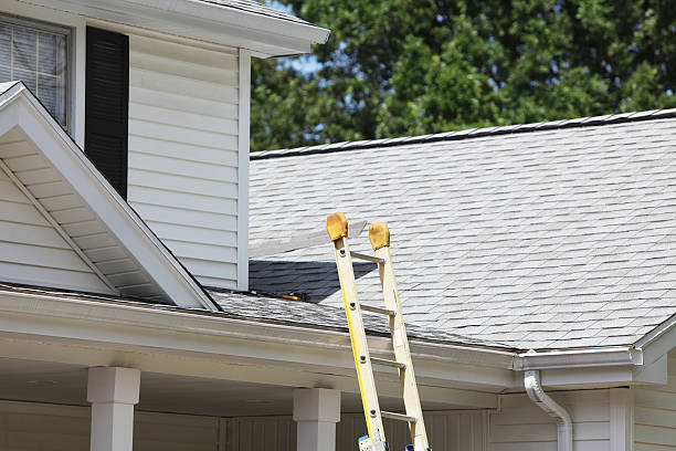 Affordable siding repair and maintenance services in Duluth, WA
